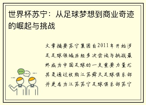 世界杯苏宁:从足球梦想到商业奇迹的崛起与挑战