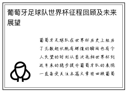 葡萄牙足球队世界杯征程回顾及未来展望